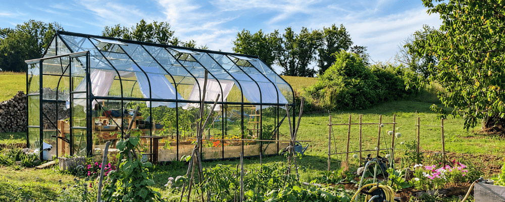 Serre Aloé LAMS verte de 14,40 m² avec des cultures en bacs en bois, au cœur d’un jardin potager.